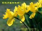 Published on 2/2/2011 ֹ,½󷨵ӹףʦãһ170أ - ִ
