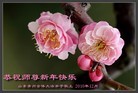 Published on 2/3/2011 ֹ,½󷨵ӹףʦãţ252أ - ִ
