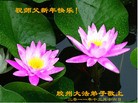 Published on 1/1/2012 ֹ,½󷨵ӹףʦԪ֣ģ - ִ
