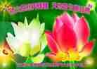 Published on 1/1/2012 ֹ,ӡŴ󷨵Ӽѽʦ - ִ
