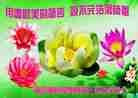 Published on 1/1/2012 ֹ,ӡŴ󷨵Ӽѽʦ - ִ
