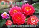 Published on 1/1/2012 ֹ,ǷѺĴ󷨵ӹףʦԪ - ִ
