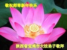 Published on 1/1/2012 ֹ,ִ󷨵ӹףʦԪ - ִ
