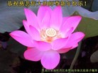 Published on 1/1/2012 ֹ,йиҵ󷨵ӹʦ - ִ
