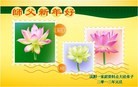 Published on 1/1/2012 ֹ,½󷨵ӹףʦԪ֣ʮһ - ִ
