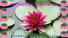 Published on 1/1/2012 ֹ,½󷨵ӹףʦԪ֣ʮһ - ִ
