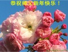 Published on 1/1/2012 ֹ,½󷨵ӹףʦԪ֣ģ - ִ
