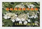Published on 1/1/2012 ֹ,½󷨵ӹףʦԪ֣ʮ - ִ
