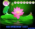 Published on 1/1/2012 ֹ,йиҵ󷨵ӹʦ - ִ
