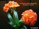 Published on 1/1/2012 ֹ,½󷨵ӹףʦԪ֣壩 - ִ
