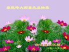 Published on 1/1/2012 ֹ,йиҵ󷨵ӹʦ - ִ
