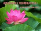 Published on 1/1/2012 ֹ,ӡŴ󷨵Ӽѽʦ - ִ
