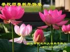 Published on 1/1/2012 ֹ,½󷨵ӹףʦԪ֣壩 - ִ

