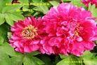 Published on 1/1/2012 ֹ,½󷨵ӹףʦԪ֣ - ִ
