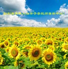 Published on 1/1/2012 ֹ,½󷨵ӹףʦԪ֣壩 - ִ
