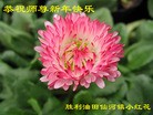 Published on 1/1/2012 ֹ,½󷨵ӹףʦԪ֣壩 - ִ
