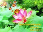 Published on 1/1/2012 ֹ,ϵִ󷨵ӹʦ - ִ
