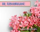 Published on 1/1/2012 ֹ,ϵͳ󷨵ӹףʦԪ - ִ
