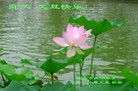 Published on 1/1/2012 ֹ,½󷨵ӹףʦԪ֣ - ִ
