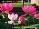 Published on 1/1/2012 ֹ,½󷨵ӹףʦԪ֣ - ִ
