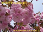 Published on 1/1/2012 ֹ,½󷨵ӹףʦԪ֣ߣ - ִ
