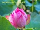 Published on 1/1/2012 ֹ,½󷨵ӹףʦԪ֣ˣ - ִ
