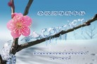 Published on 1/1/2012 ֹ,½󷨵ӹףʦԪ֣ - ִ
