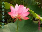 Published on 1/1/2012 ֹ,½󷨵ӹףʦԪ֣ţ - ִ
