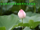 Published on 1/1/2012 ֹ,½󷨵ӹףʦԪ֣ˣ - ִ
