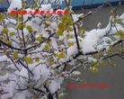 Published on 1/1/2012 ֹ,½󷨵ӹףʦԪ֣ţ - ִ
