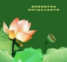 Published on 1/1/2012 ֹ,½󷨵ӹףʦԪ֣ - ִ
