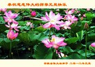 Published on 1/1/2012 ֹ,½󷨵ӹףʦԪ֣ʮ - ִ
