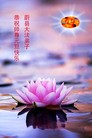 Published on 1/1/2012 ֹ,½󷨵ӹףʦԪ֣ţ - ִ
