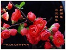 Published on 1/1/2012 ֹ,½󷨵ӹףʦԪ֣ţ - ִ
