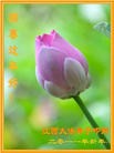 Published on 2/4/2011 ֹ,½󷨵ӹףʦ֣ʮģ245أ - ִ
