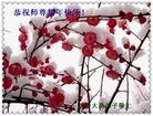 Published on 2/4/2011 ֹ,½󷨵ӹףʦ֣ʮ160أ - ִ
