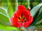 Published on 9/12/2011 ֹ,½󷨵ӹףʦ֣104 - ִ
