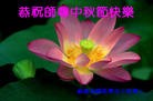 Published on 9/12/2011 ֹ,½󷨵ӹףʦ֣104 - ִ
