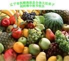 Published on 9/12/2011 ֹ,½󷨵ӹףʦ֣121 - ִ

