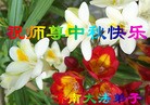 Published on 9/12/2011 ֹ,½󷨵ӹףʦ֣107 - ִ
