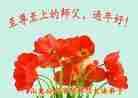Published on 1/23/2012 ֹ,ӡ˾ŵĴ󷨵Ӹʦ - ִ
