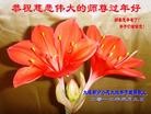 Published on 1/23/2012 ֹ,½󷨵ӹףʦã135 - ִ
