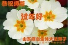 ֹ,󷨵ӹףʦ֣162 - ִ
