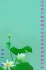 Published on 1/23/2012 ֹ,½󷨵ӹףʦã135 - ִ
