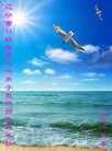 Published on 1/23/2012 ֹ,½󷨵ӹףʦã135 - ִ
