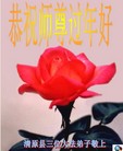 Published on 1/23/2012 ֹ,½󷨵ӹףʦã135 - ִ
