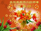 Published on 1/23/2012 ֹ,½󷨵ӹףʦã177 - ִ

