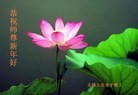Published on 1/23/2012 ֹ,½󷨵ӹףʦã172 - ִ
