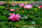 Published on 1/23/2012 ֹ,½󷨵ӹףʦã177 - ִ
