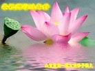 Published on 1/23/2012 ֹ,½󷨵ӹףʦã172 - ִ
